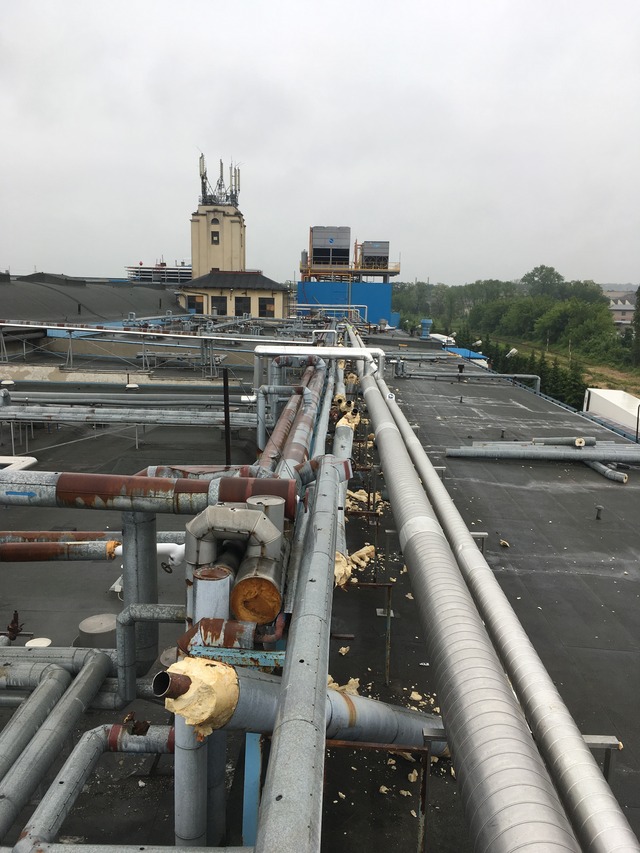 Zdjęcie przedstawiające zlecenie 'Demontaż rurociągów dla zakładów mięsnych Sokołów S.A. odział w Tarnowie'