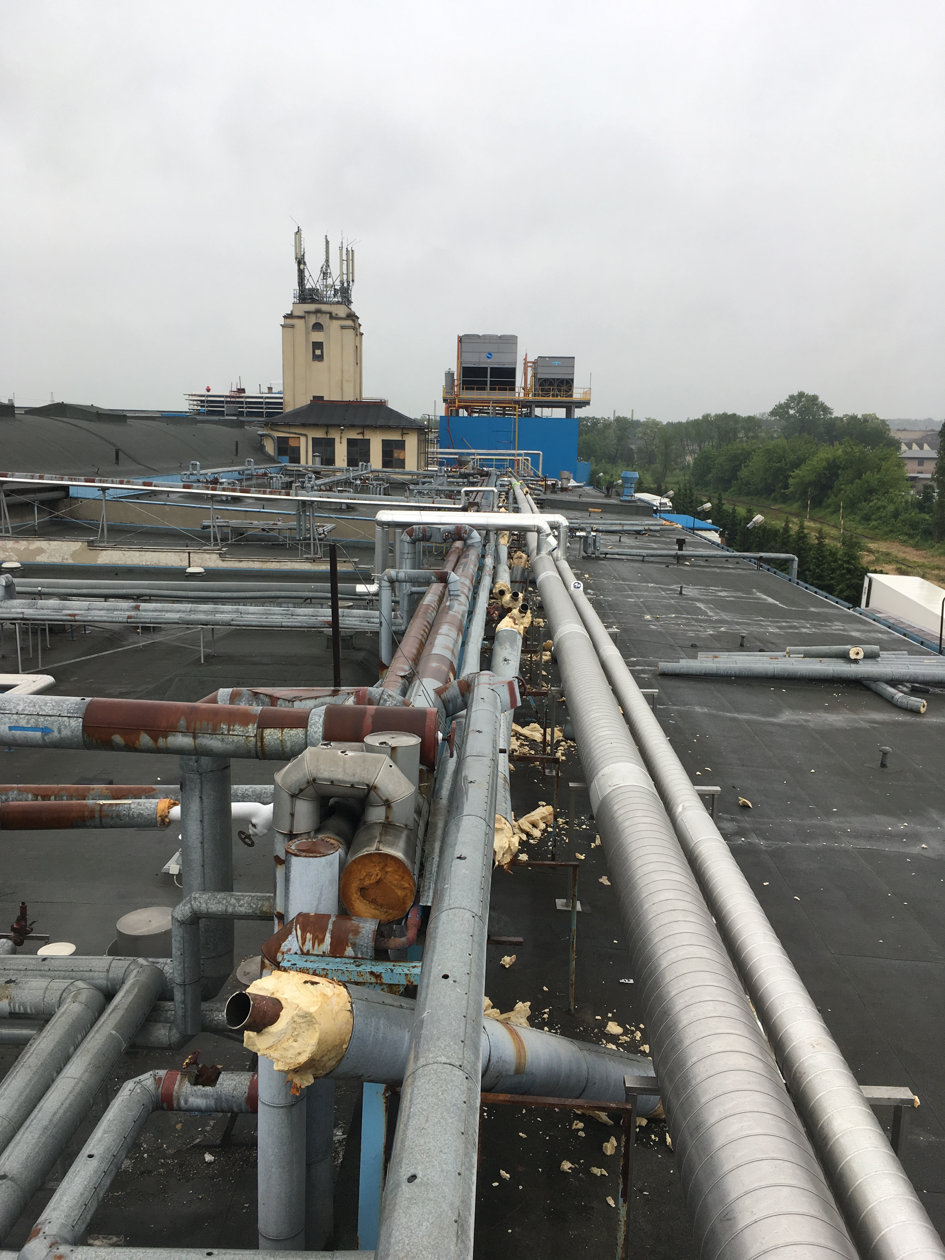 Zdjęcie przedstawiające zlecenie 'Demontaż rurociągów dla zakładów mięsnych Sokołów S.A. odział w Tarnowie'